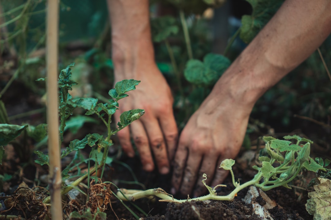 Wilde Tuinen: Natuurlijk Ontwerpen voor Biodiversiteit